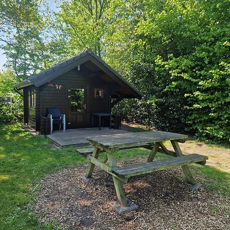 Camping Alkenhaer Appelscha Blokhut Basic 外观 照片